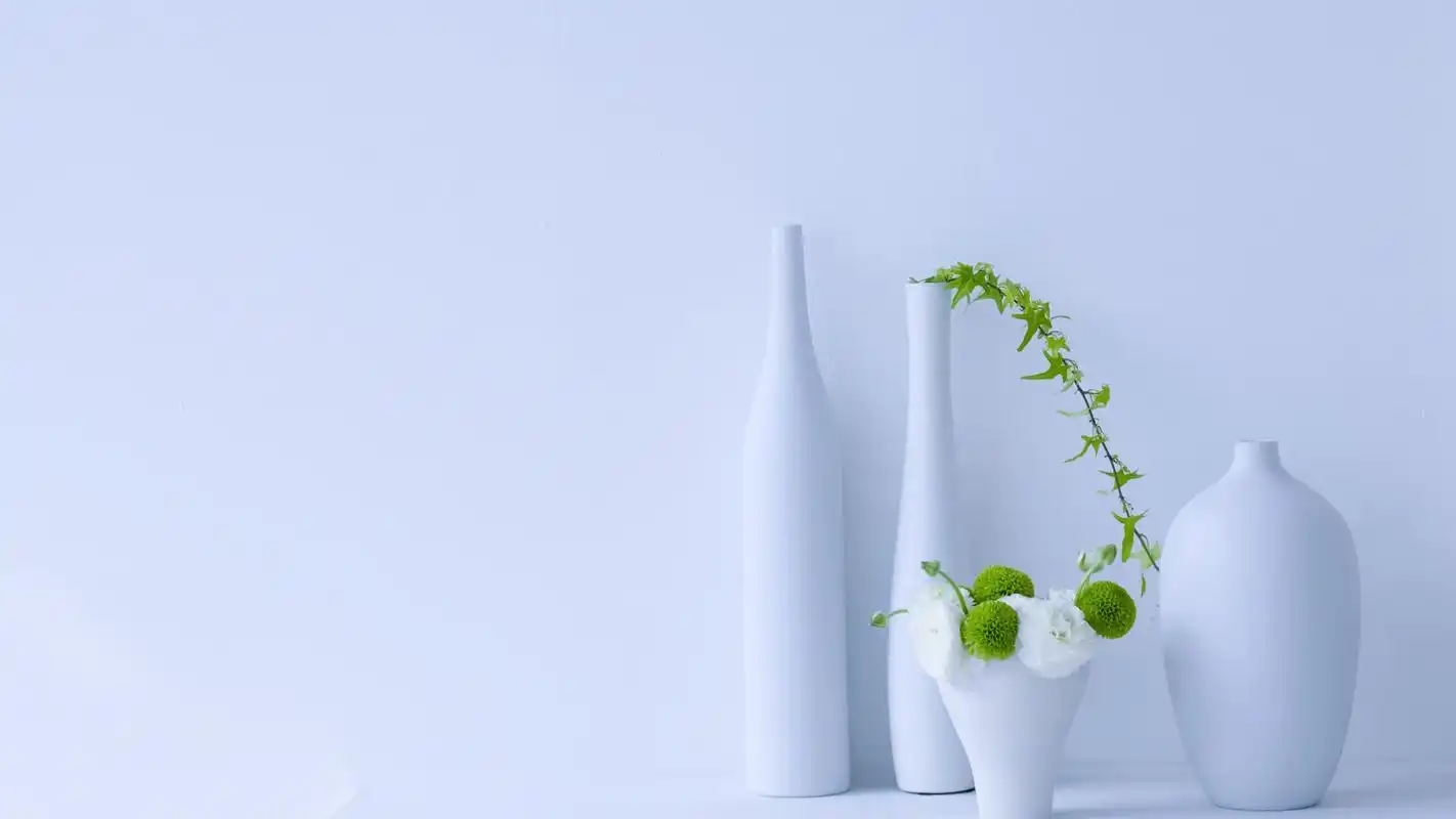 小清新盆栽唯美清爽高清桌面壁纸