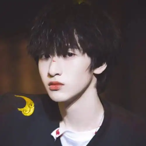 微信头像严浩翔