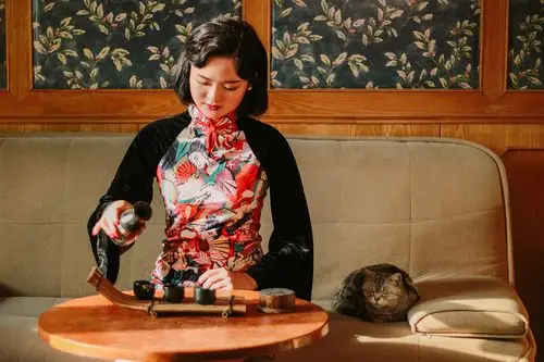 怀旧民国系列军阀太太