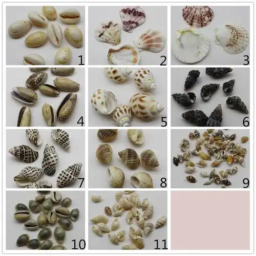 批发真正的美丽真正的海贝壳多风格卡哇伊 4000 pcs/bag 适合工艺制造