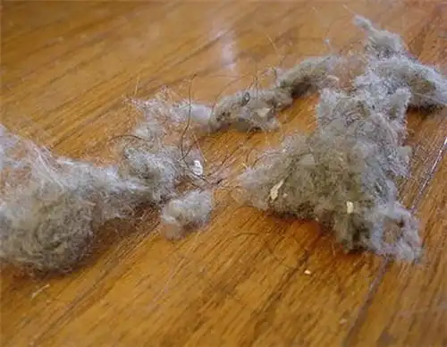 地板上的毛絮从哪来_齐家网