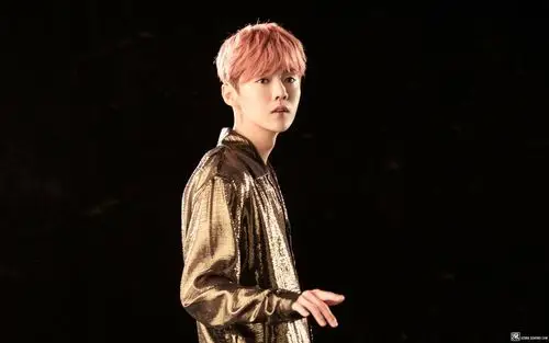 明星:鹿晗的帅照 - 娱乐八卦 - 深圳论坛