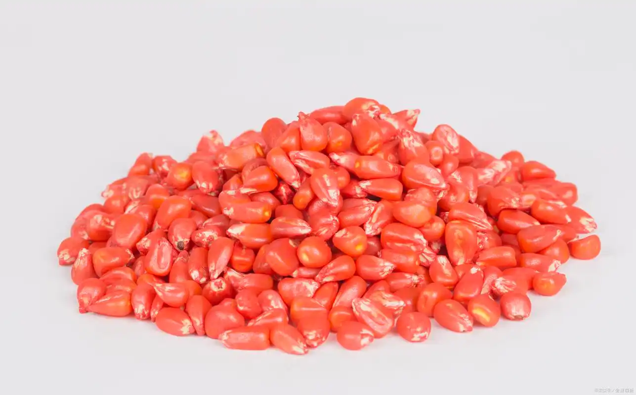 玉米 种子 - 2020年最新商品信息聚合专区 - 百度爱采购