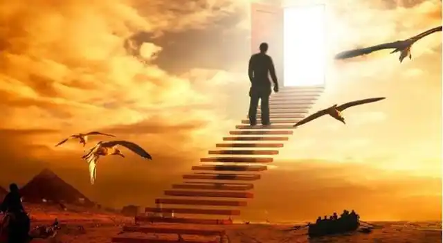 当北大学生去送外卖他的人生是否找到了标准答案