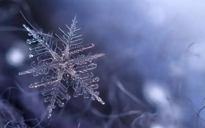 玲珑剔透的雪花,静物写真-回车桌面