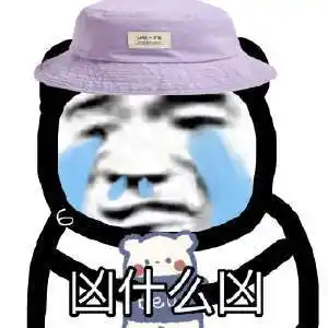 热门沙雕搞怪熊猫头怼人表情包