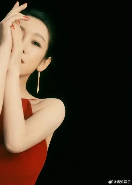 秦海璐有多少红衣服