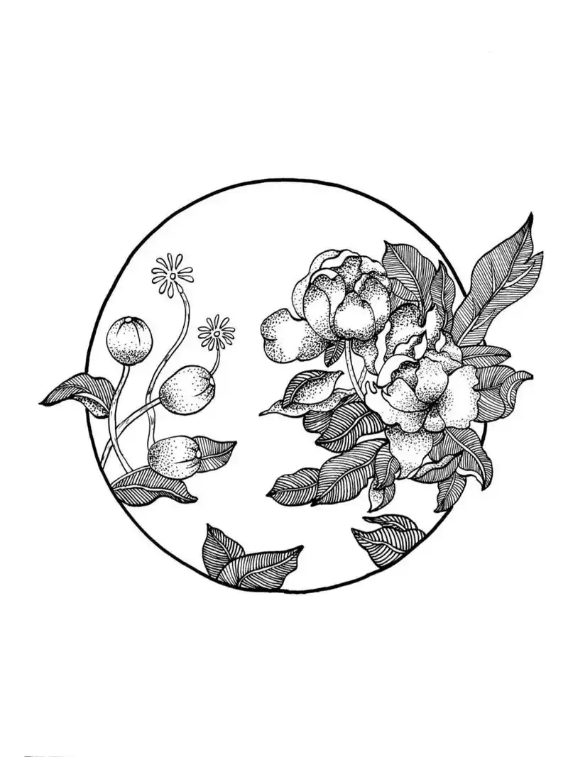 虞美人|黑白装饰画|附过程图 虞美人线稿|黑白装饰画|简单易画 笔