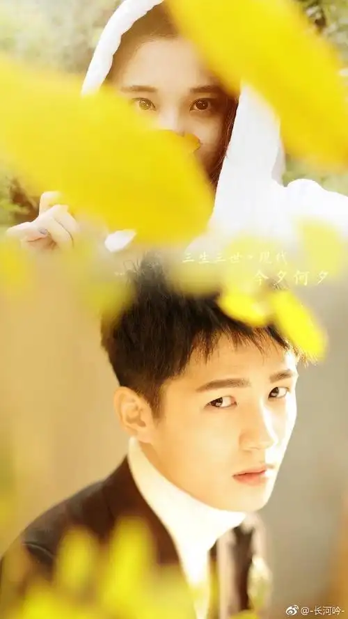 林奚,萧平旌(今夕夫妇,琅琊榜2风起长林,微博抠图)张慧雯,刘昊然饰