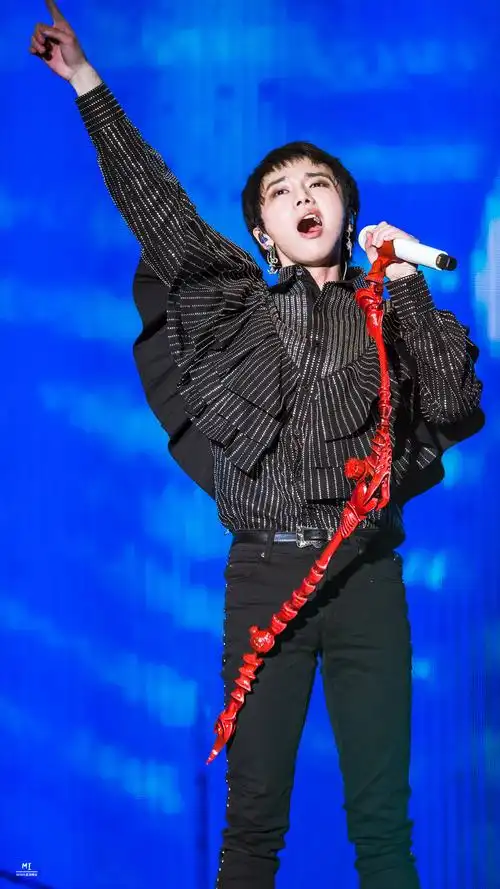 华晨宇 鸟巢演唱会 五年之约