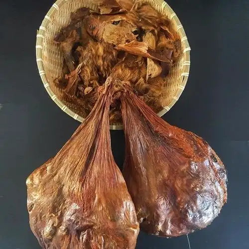 鹿胎(鹿胎粉对女人的功效与作用)