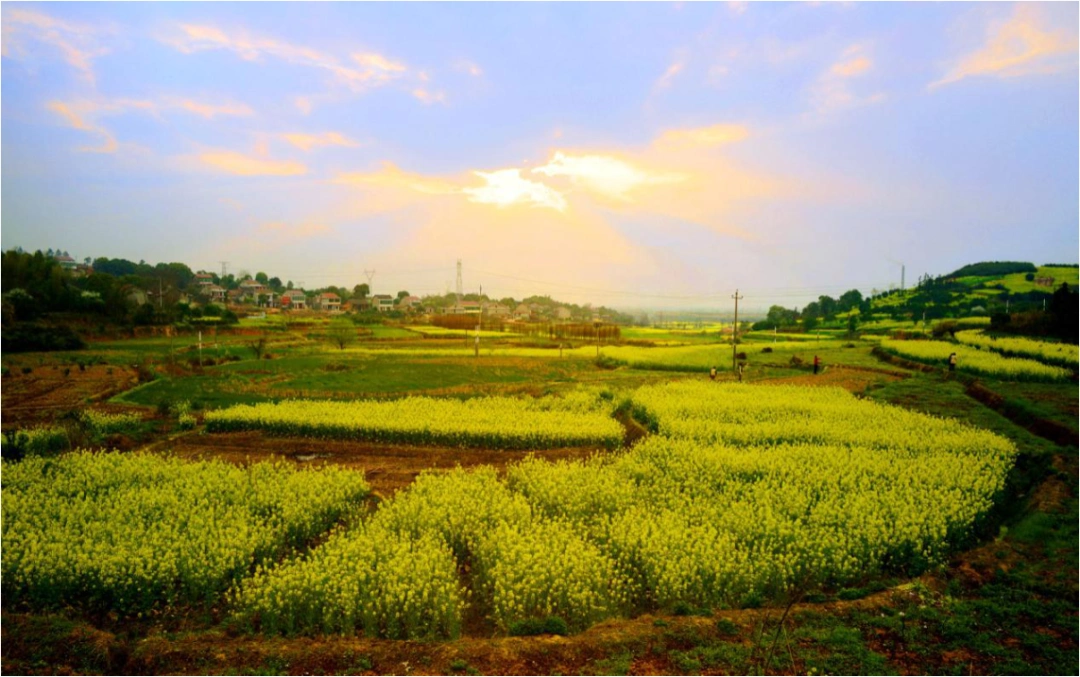 洞庭脊梁赤山岛