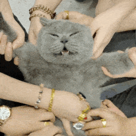 每日沙雕表情包