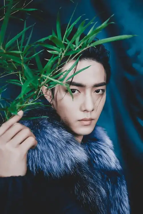 肖战芭莎电子刊190705