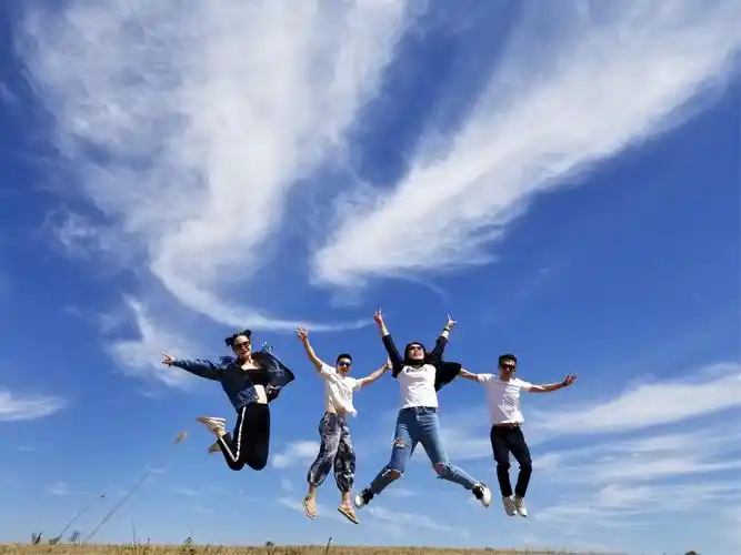 风吹草地现牛羊 一群逗逼忙拍照