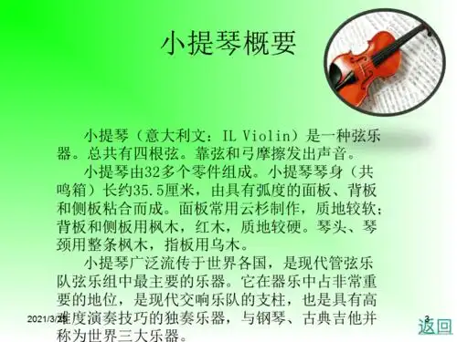 小提琴介绍简介ppt课件
