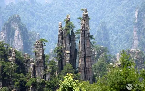 陡峭的山间奇峰 挺拔如林