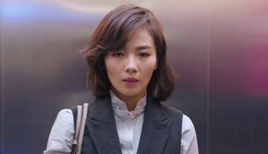 刘涛靳东王凯玩转职场-电视剧-欢乐颂第19集-完整版免费在线观看-爱