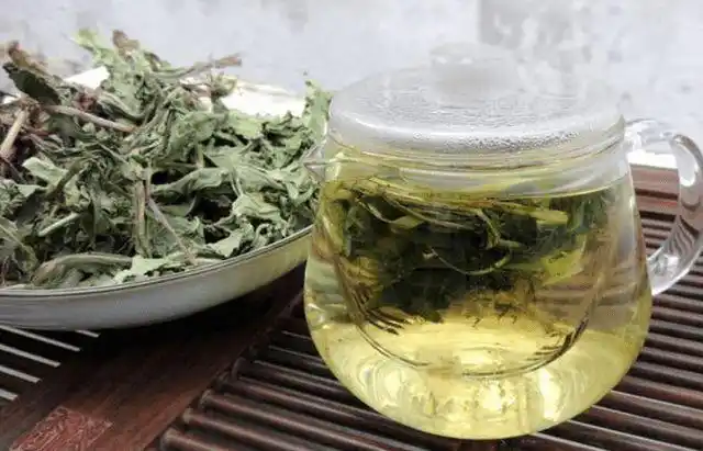 蒲公英泡水喝的功效(大枣蒲公英泡水喝的功效)