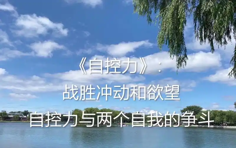 《自控力》:战胜冲动和欲望,自控力与两个自我的争斗