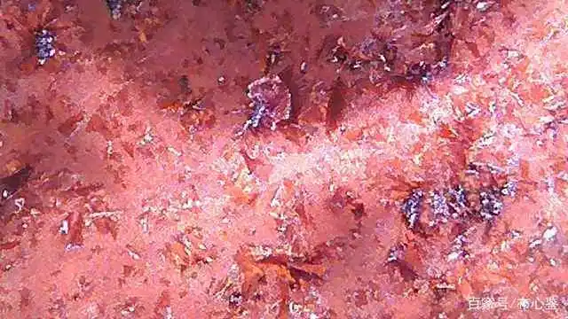 宋代钧瓷真正珍品釉面微观图片集