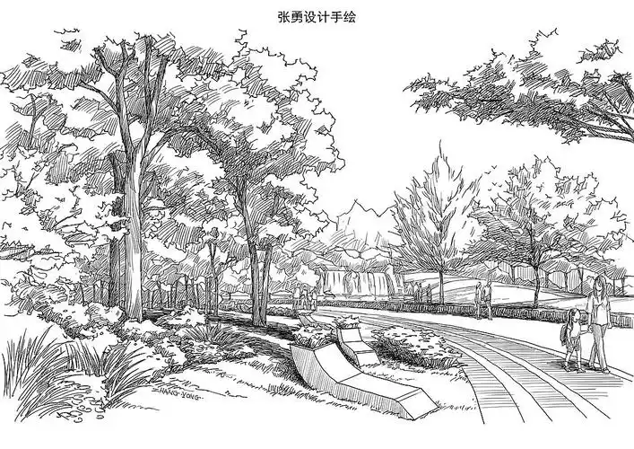 森林公园景观设计张勇手绘景观手绘园林手绘