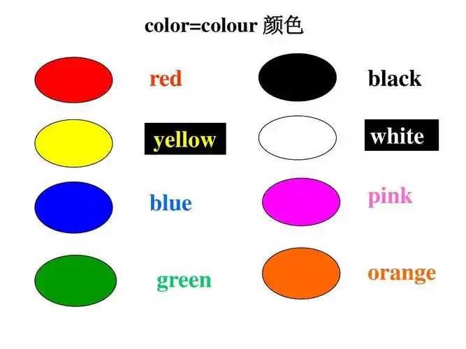 七年级英语 starter module3 unit1 (外研版)ppt