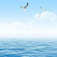 微信女生头像大海背影点击鼠标右键下载