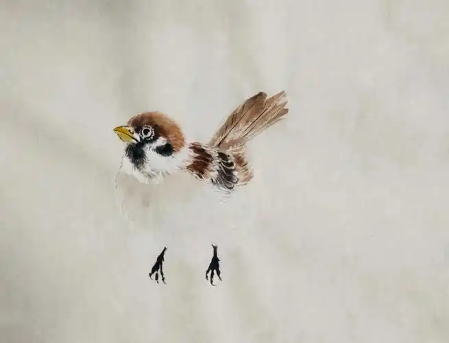 经常有人问我,老师,我会画写意麻雀,工笔也会,就是小写意或兼工带写不