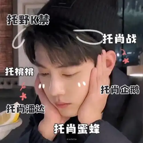 肖战看了都要保存的表情包##向全世界安利肖战##粉丝为肖战做梗图