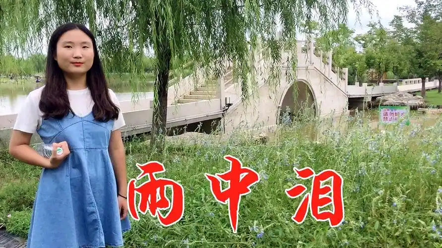 男女对唱情歌《雨中泪》dj版,好听又伤感,动感带劲儿-音乐视频-搜狐