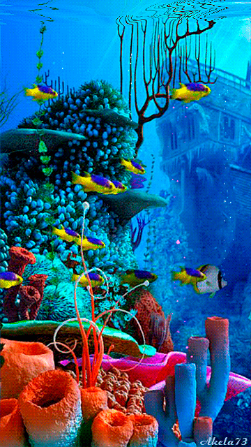 下载water worldhuawei g7300屏保 - 2794884 | mobile9