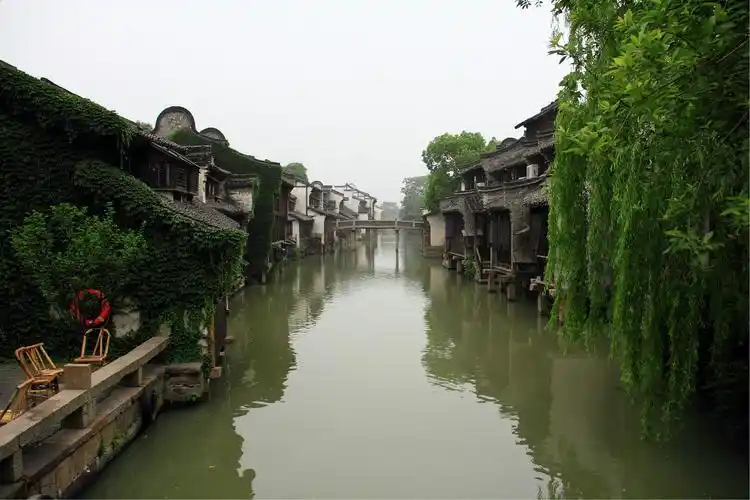 2011年5月 华东游记----乌镇图片485,浙江省旅游景点,风景名胜 - 蚂