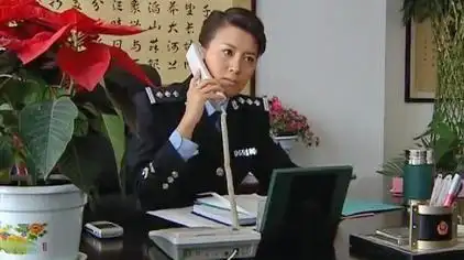 女公安局长廖芳华电视剧 - 西瓜视频