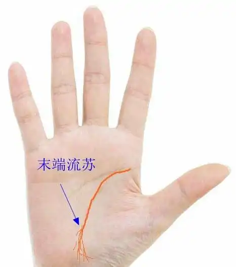 掌上有风水:生命线揭示你的健康状况!