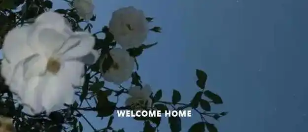 男明星塌房多是因为色女明星塌房多是因为钱网红塌房多是因为胆大无脑