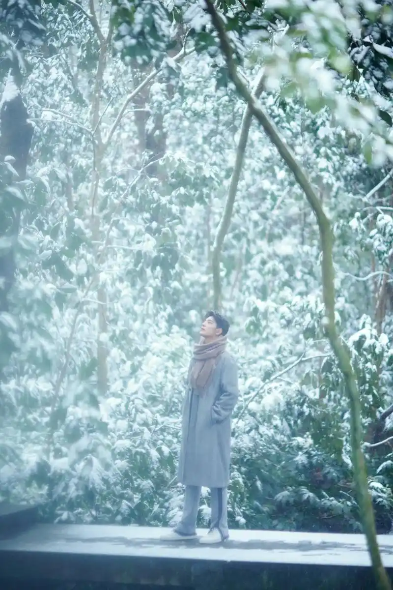 肖战冬至竹林大片 遇见了心动的神!冬至快乐!#肖战 - 抖音