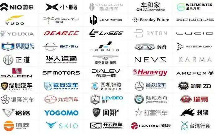 十大不建议购买的新能源车_金陵湾不建议购买_ipad购买建议