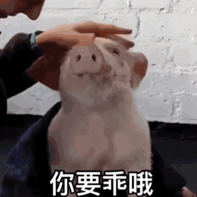 多少中国人在快手上学送礼|年礼|猪头|快手_新浪新闻