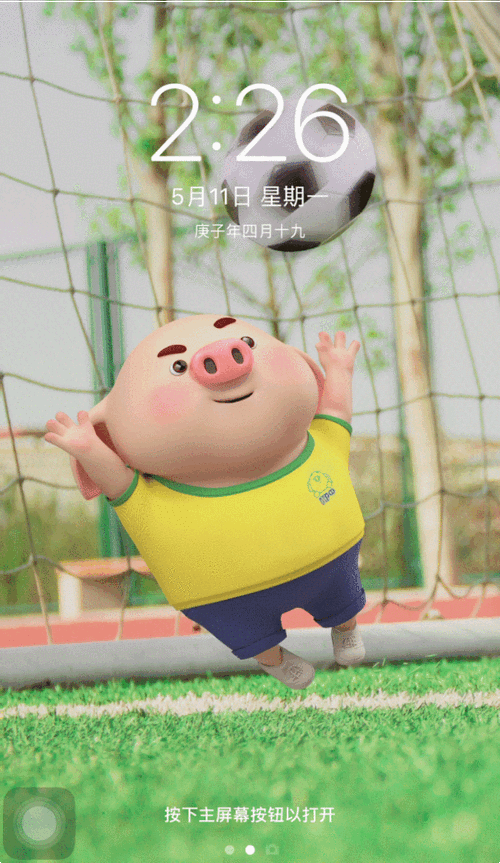 「猪小屁壁纸」悠悠夏日长,西瓜透心凉