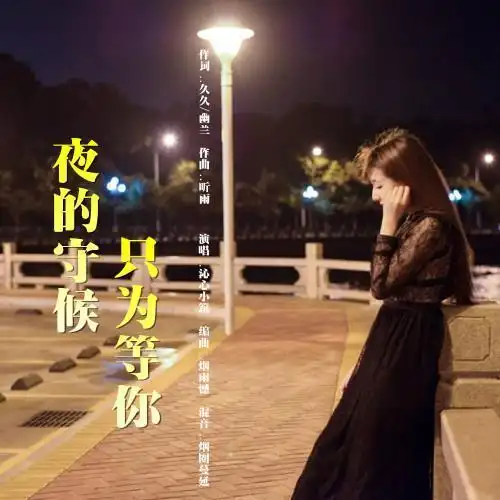 夜的守候只为等你(伴奏)