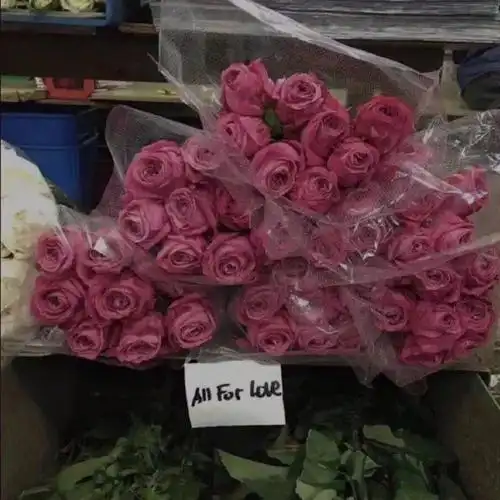 来一波ins风背景图叭