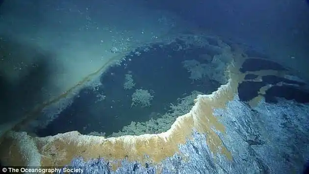 海底首次发现怪异无底卤水池被称为死亡按摩浴缸