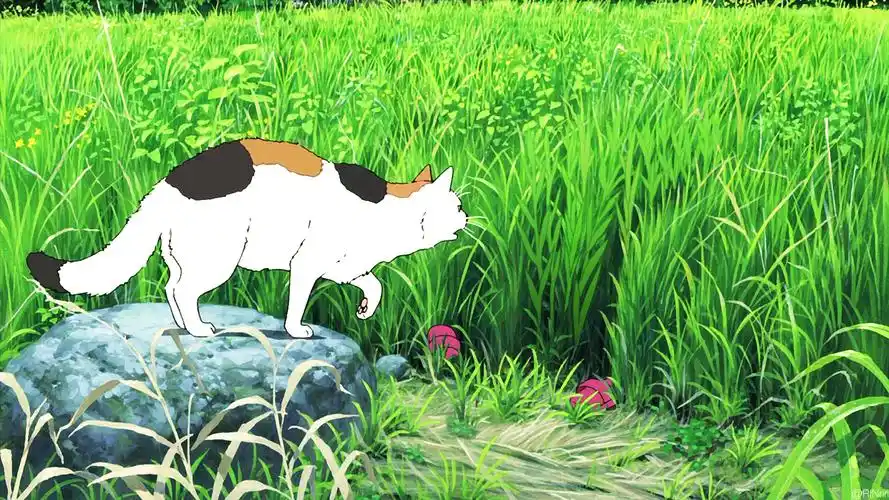 自截图,rinriri,动漫,二次元,高清,壁纸,狼之子的雨和雪,狼之子的雨与