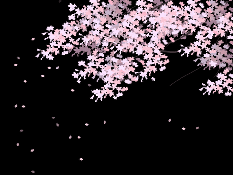 [ps动画实例教程] ps动态素材的使用