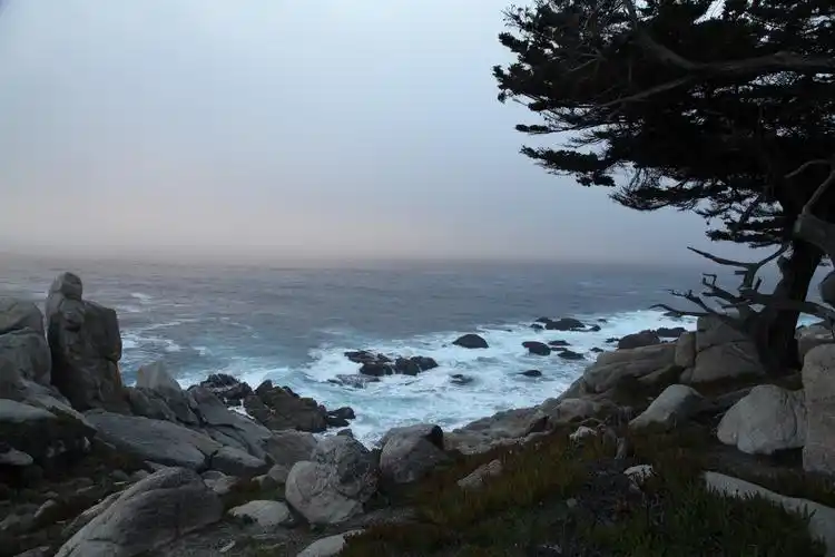 在太平洋的东北海岸边