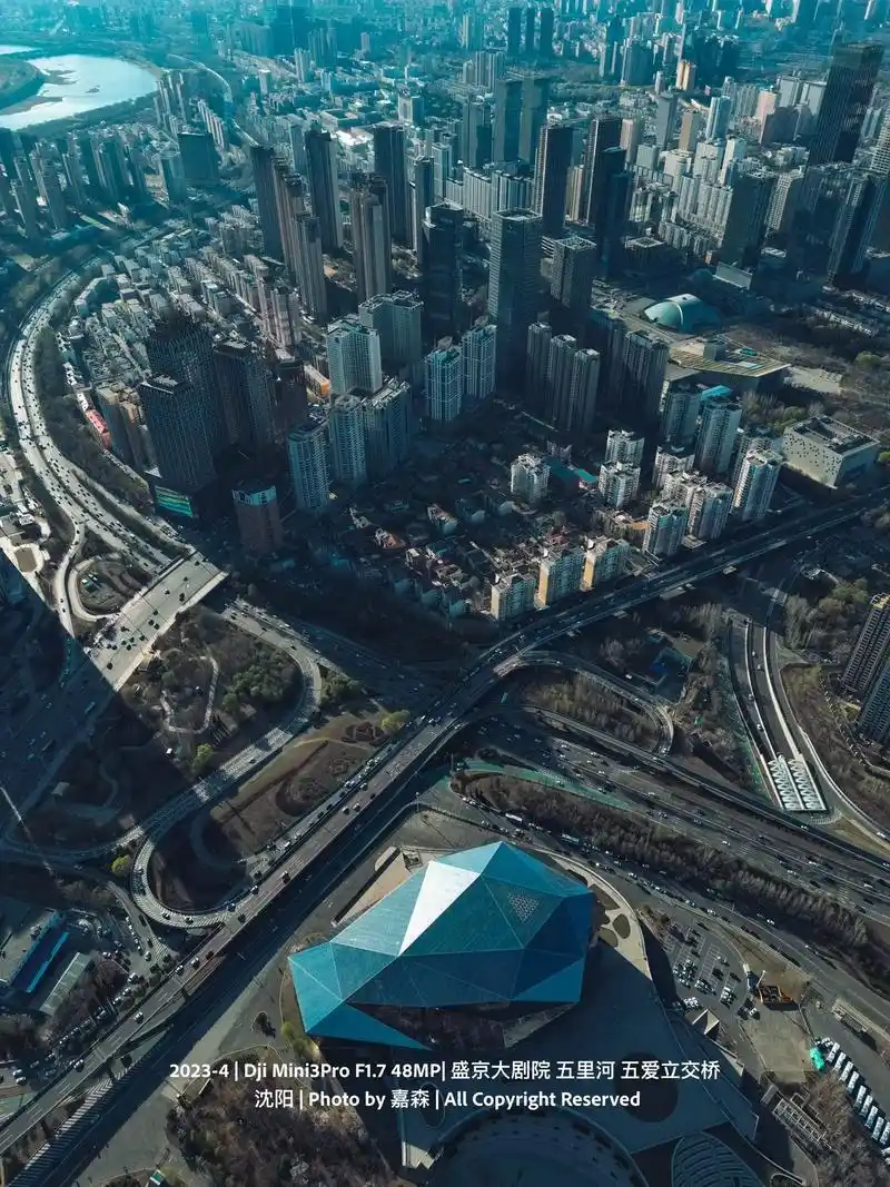 沈阳北塔法轮寺 初见白色玉兰花.