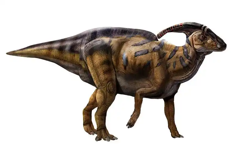 恐龙图片_恐龙图库恐龙品种图片大全,恐龙复原图高清恐龙图片大图下载