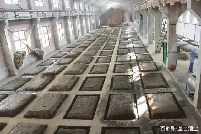 每一瓶皇台酒,背后都有一个芬芳的故事