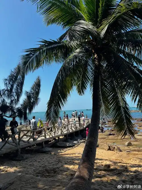 寒假充能计划##开拍吧新星##三亚